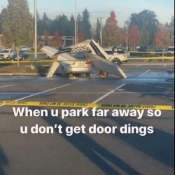 No Door Dings