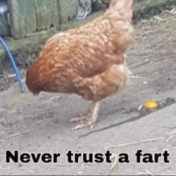 Never Trust A Fart