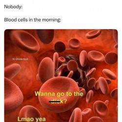 Blood Cells