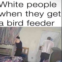 White People