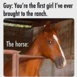 The Horse