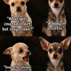 Covered In Dirt