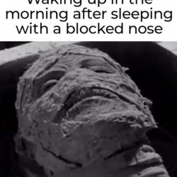 Blocked Nose