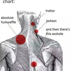 Accurate
