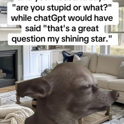 Are You Stupid?