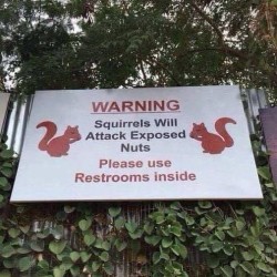 Exposed Nuts