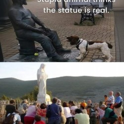 Idiots