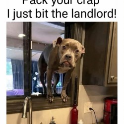 Pack Your Crap