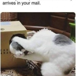 Replacement