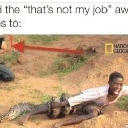 Not my job