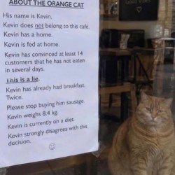 Kevin