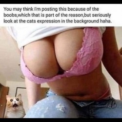 Just Look