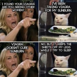 Are You Seeing Other Women?