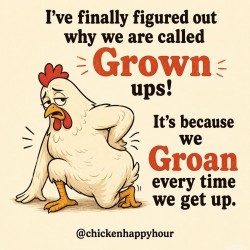 Grown Ups