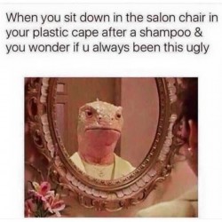 The Salon
