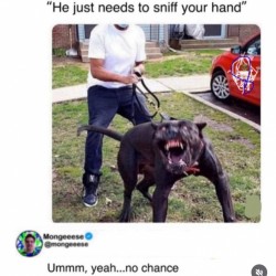 No Chance