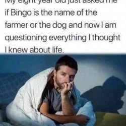 Bingo