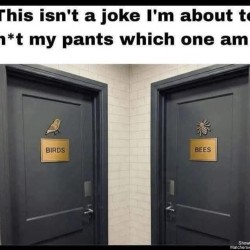 Which Door