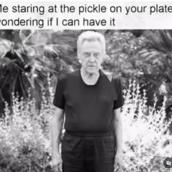 Pickle On Your Plate
