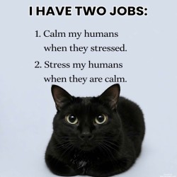 Two Jobs