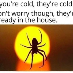 If Your Cold