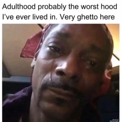Adulthood