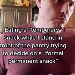 Temporary Snack