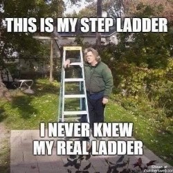 Step Ladder