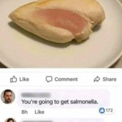 Salmonella