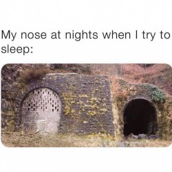 My Nose