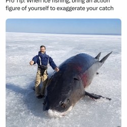 This Big