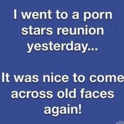 Porn Stars Reunion