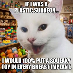 Plastic Surgeon