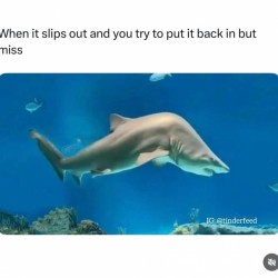 Slips Out