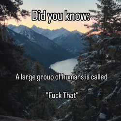 It's Real