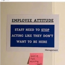 Attitude