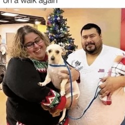 Never Going On A Walk Again