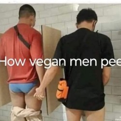 Vegan