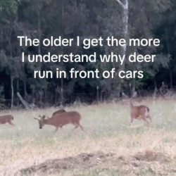 More I Understand