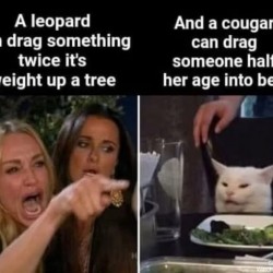 Leopard Vs. Cougar