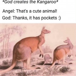 Pockets