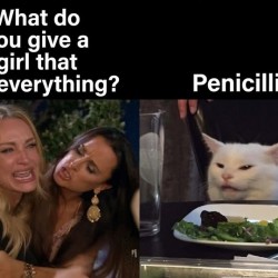 Has Everything