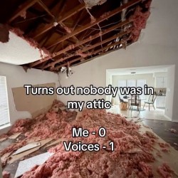 Voices - 1