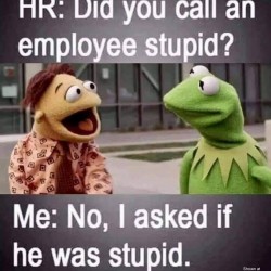 Did You?