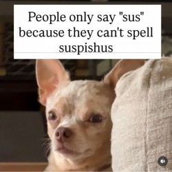 Sus
