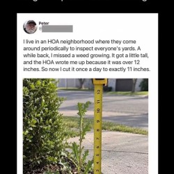 HOA’s