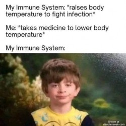 Immune System