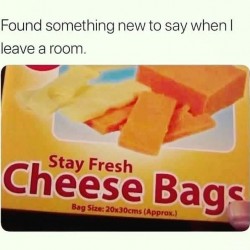 Cheese Bags
