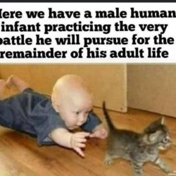 Battle